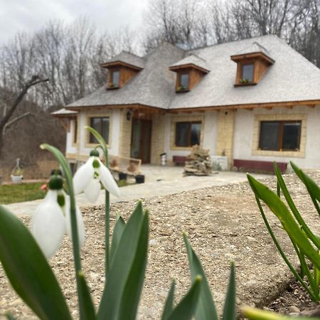 Casa Cu Sindrila Villa Vălenii de Munte Exterior foto
