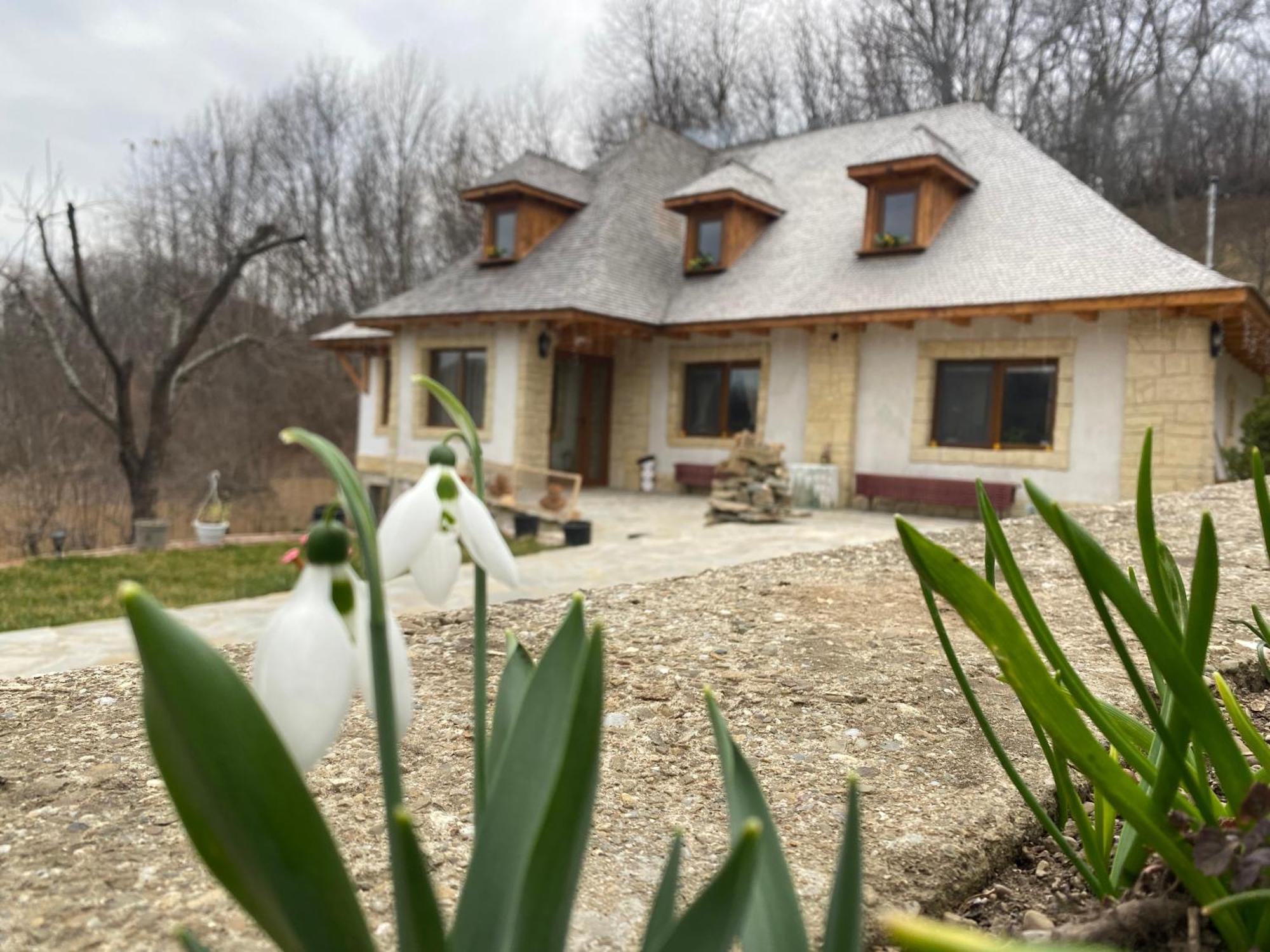 Casa Cu Sindrila Villa Vălenii de Munte Exterior foto