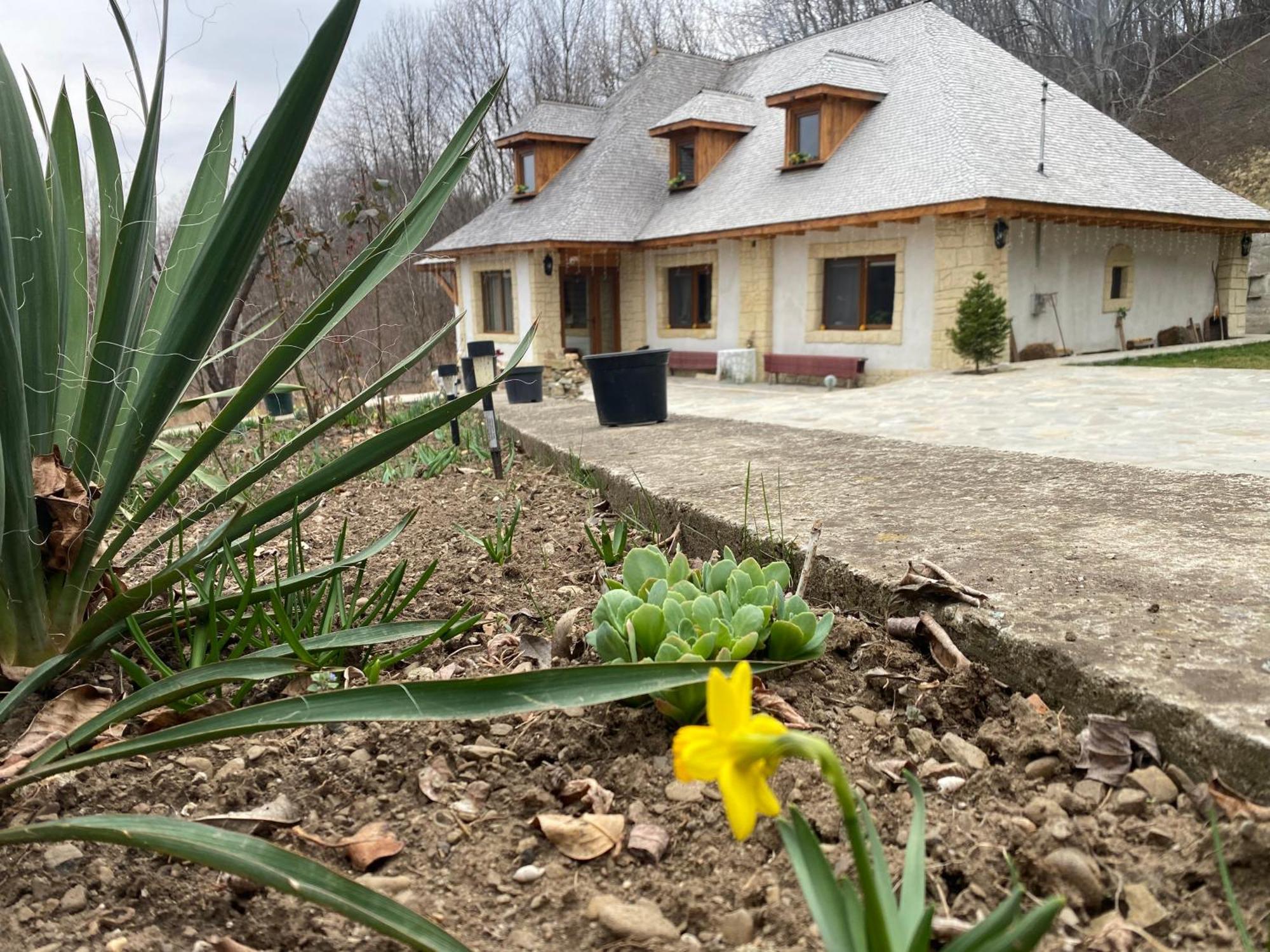 Casa Cu Sindrila Villa Vălenii de Munte Exterior foto