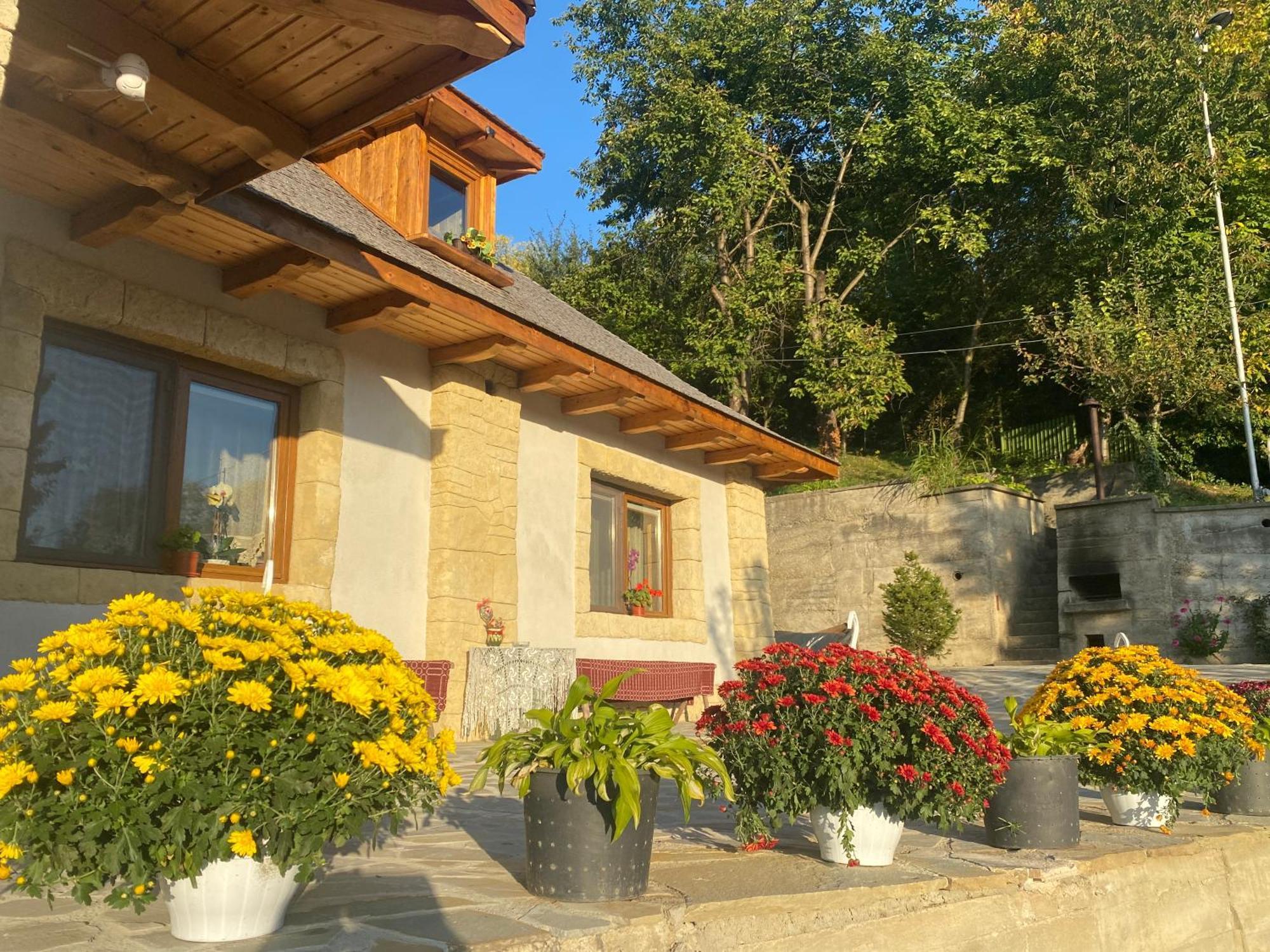 Casa Cu Sindrila Villa Vălenii de Munte Exterior foto