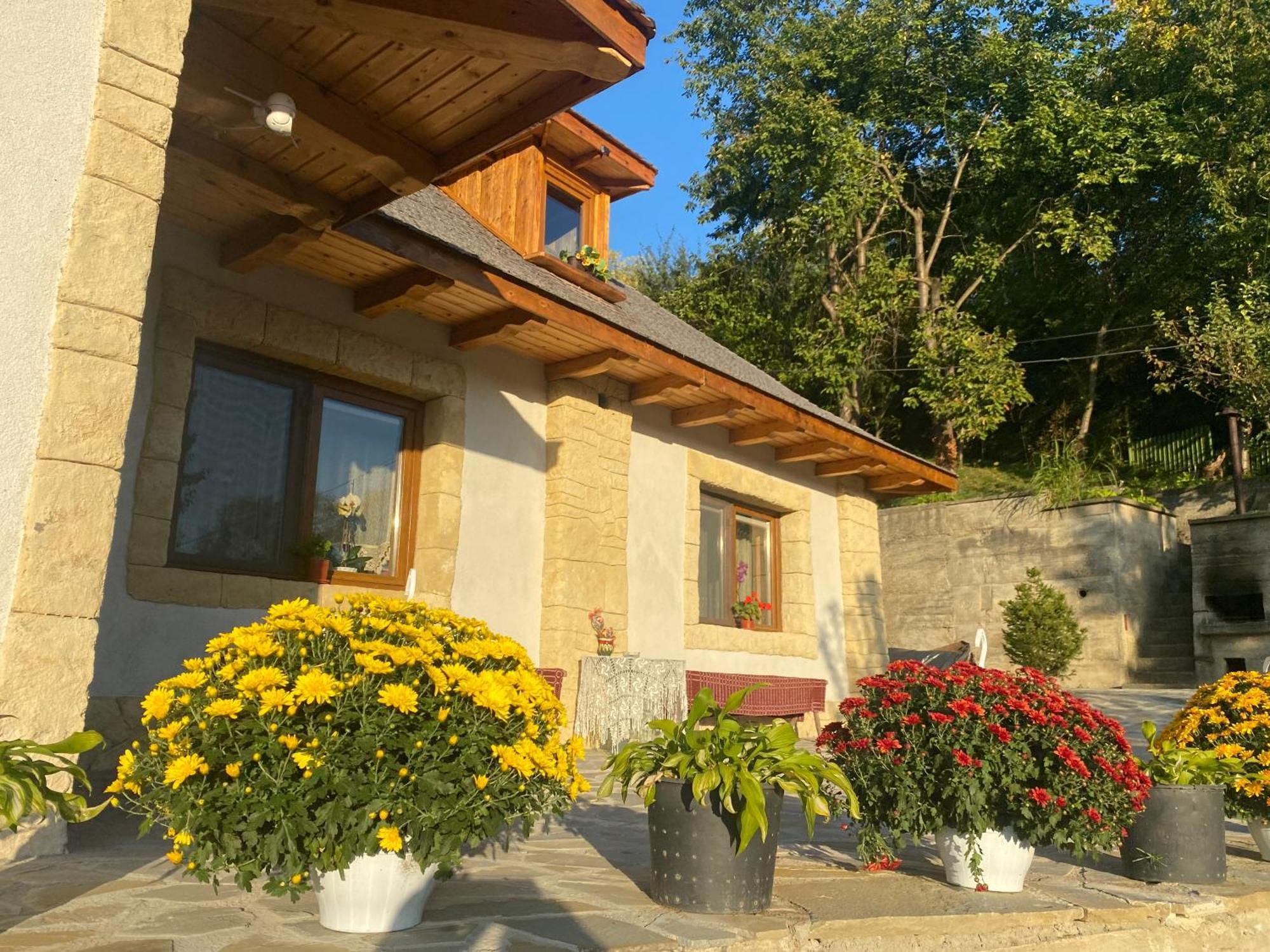 Casa Cu Sindrila Villa Vălenii de Munte Exterior foto